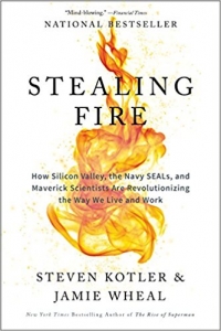 Stealing Fire 51RNMaudLL._SX331_BO1204203200_-200x300  https://www.harpercollins.com/products/stealing-fire-steven-kotlerjamie-wheal?variant=32121993101346