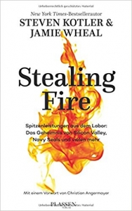 Cover stealing Fire deutsch

https://www.boersenmedien.de/produkt/buch/stealing-fire-1519.html